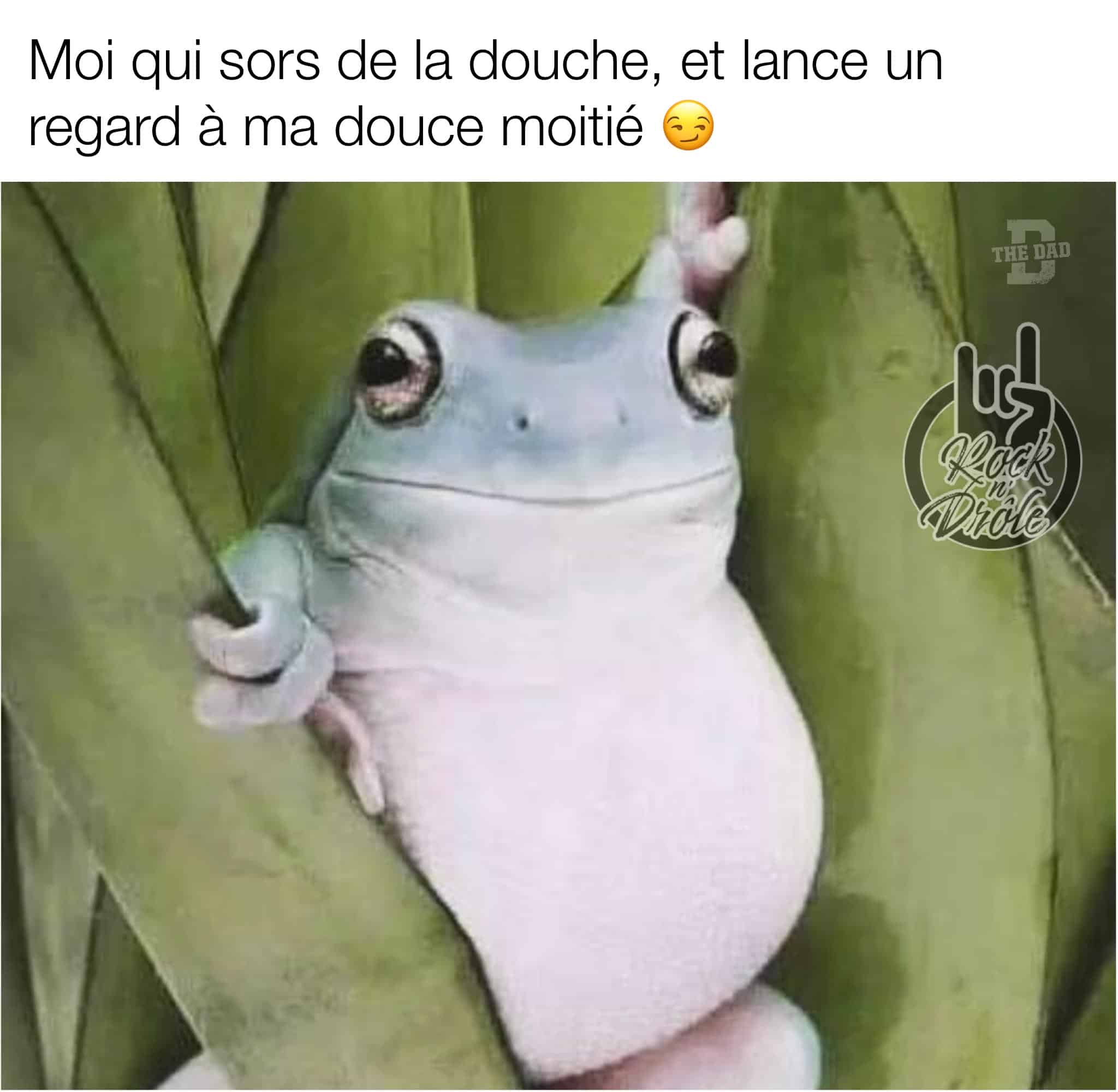 Une grenouille qui semble lancer un regard sexy en sortant du feuillage