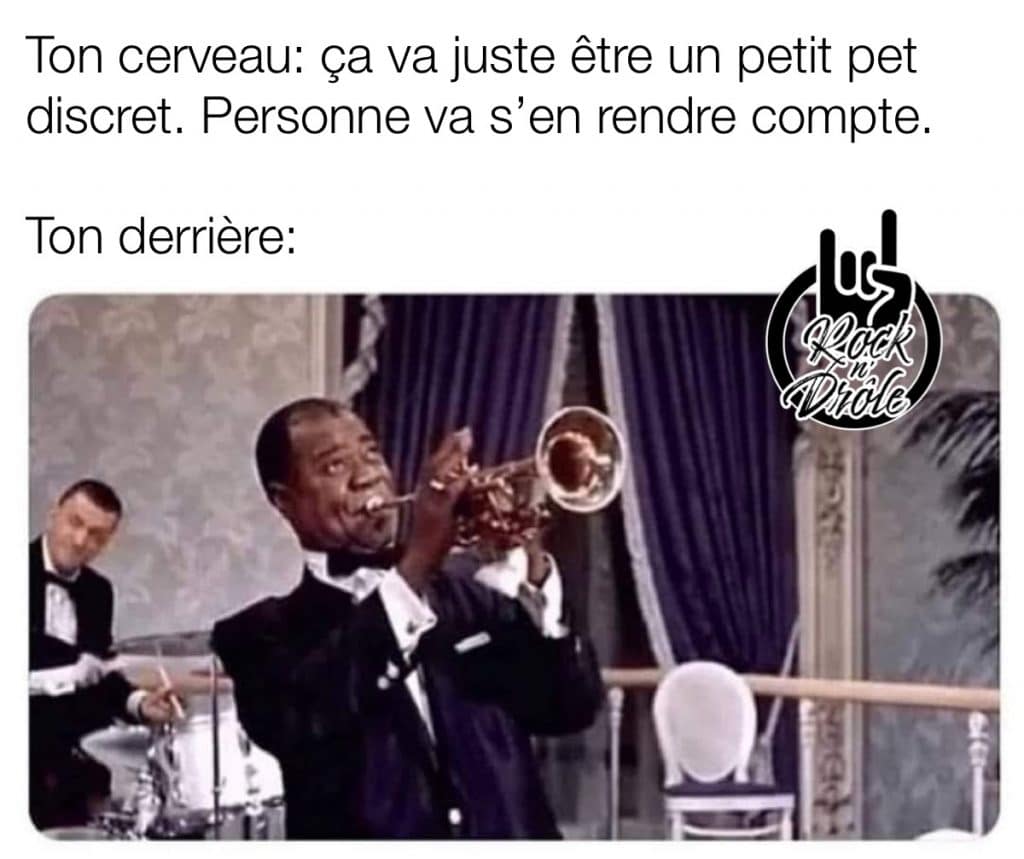 Quand tu pense que ton pet sera discret. C'est plutôt comme un trompettiste jazz