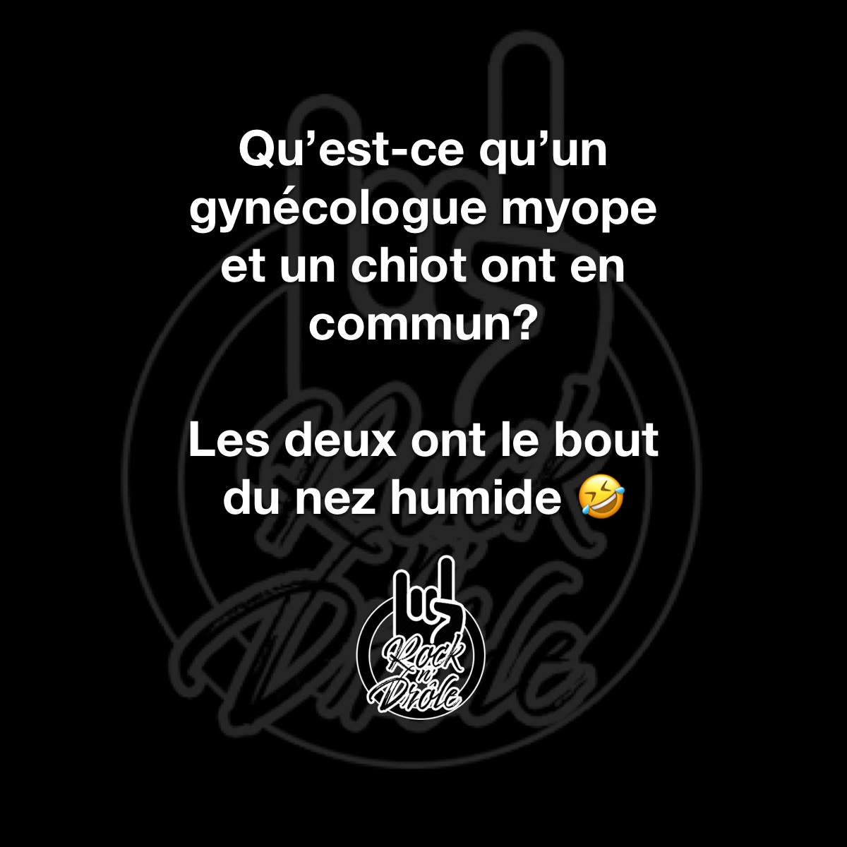 Qu'est-ce qu'un gynécologue myope et un chiot ont en commun? Les deux ont le bout du nez humide