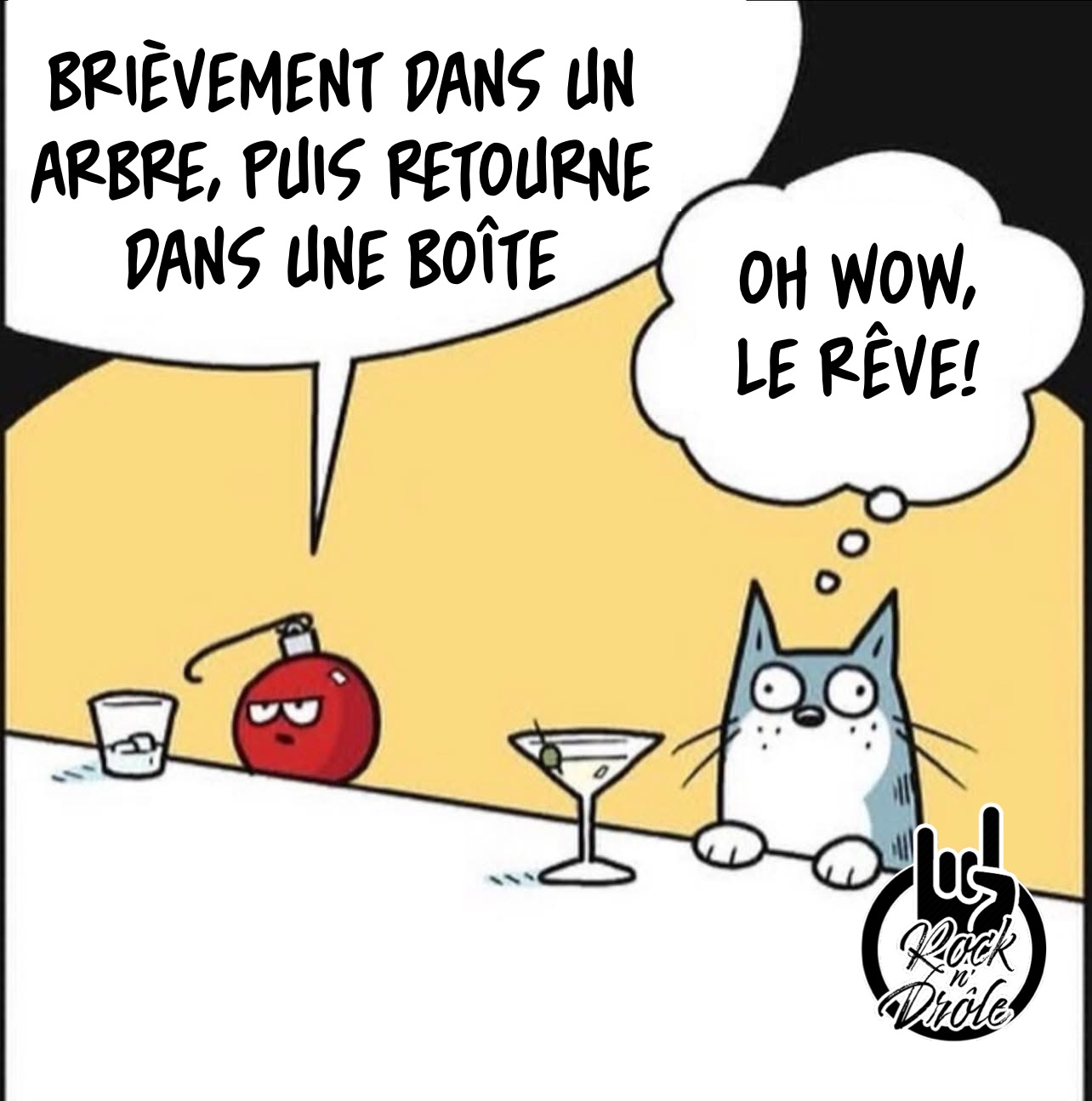 De l'humour félin, le rêve pour tous les chats! être brièvement dans un arbre de Noël puis retourner dans une boîte de carton