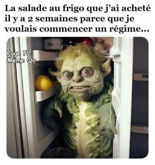 La laitue au frigo que j'ai acheté il y a deux semaine parce que je voulais commencer une diète