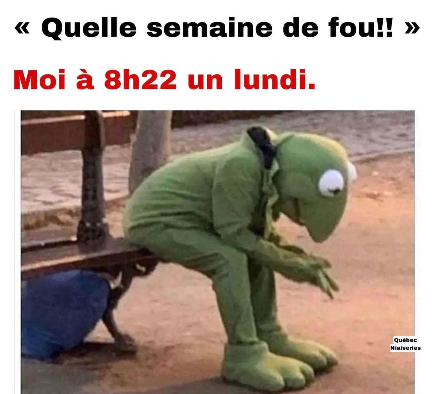 Quand tu passes vraiment une semaine de fous! Mais qu'on s'est seulement lundi. Kermit est épuisé