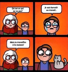 Subir de l'intimidation au travail, même en travaillant de la maison. C'est son chat qui l'intimide