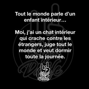 Tout le monde parle d'un enfant intérieur. Moi, j'ai un chat intérieur qui crache contre les etrangers, juge tout le monde et veut dormir toute la journée.