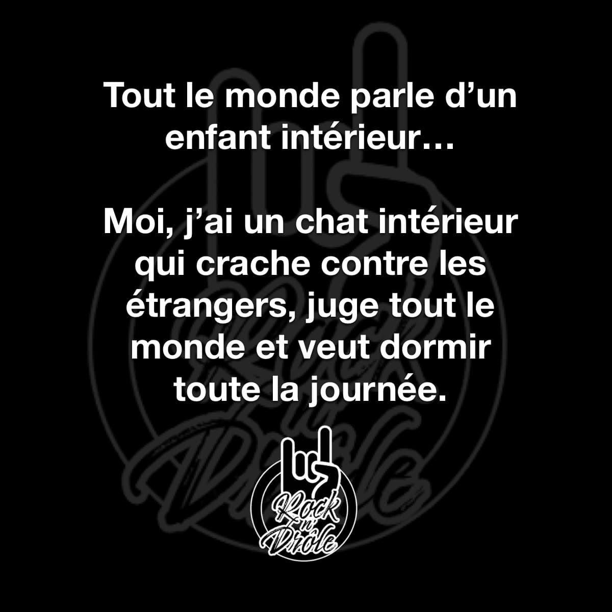 Tout le monde parle d'un enfant intérieur. Moi, j'ai un chat intérieur qui crache contre les etrangers, juge tout le monde et veut dormir toute la journée.