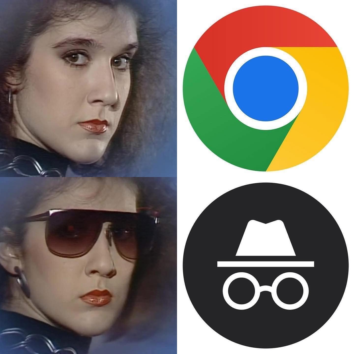 Des images qui passe au mode "incognito". Fait référence à la chanson populaire de Céline Dion Incognito