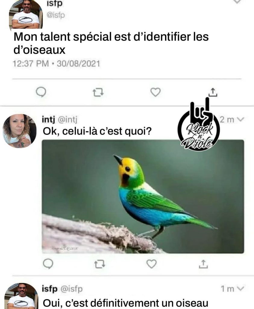 Lorsque tu as un talent pour identifier les oiseaux