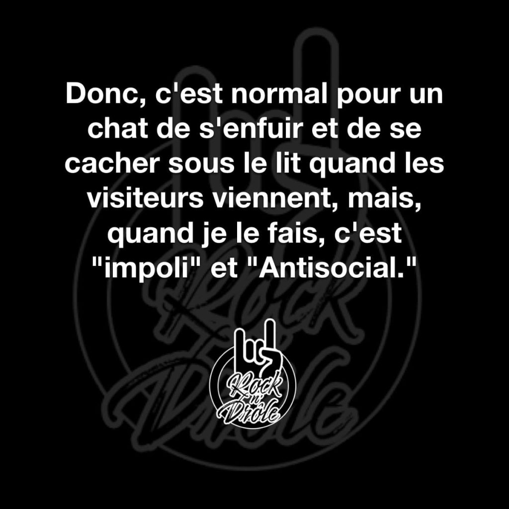 Donc, c'est normal pour un chat de s'enfuir et de se cacher sous le lit quand les visiteurs viennent, mais quand c'est moi qui le fait, c'est considéré comme impoli et antisocial