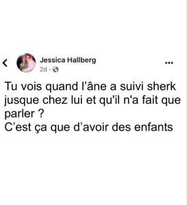 La relation entre Shrek et l'âne démontre bien c'est quoi avoir de jeunes enfants