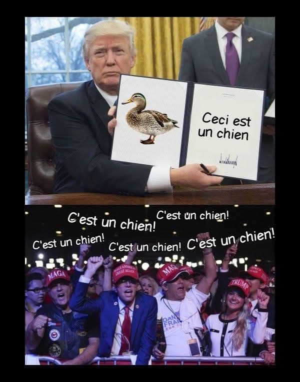 Les MAGAs de Donald Trump croirons n'importe quoi! Même s'il leurs fait croire qu'un canard est un chien