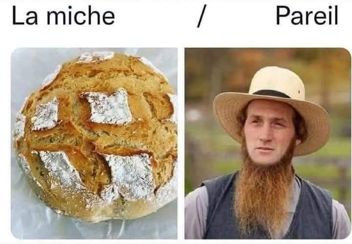 La miche versus l'Amish. Une miche de pain et un homme Amish