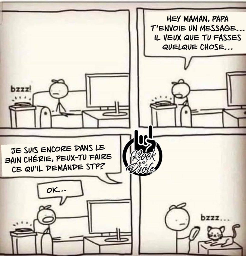 Quand ton père te demande quelque chose d'étrange avec le chat. Raser la chatte ne signifie pas ce qu'il pensait