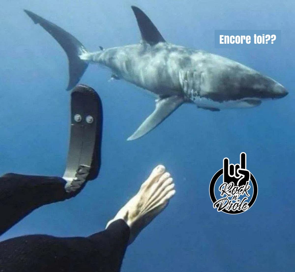 Le requin nage à côté d'un amputé du pied et retrouve son repas de la dernière fois.
