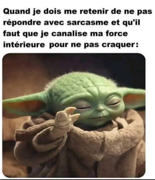 Quand je dois me retenir de ne pas répondre avec sarcasme. baby Yoda star wars meme