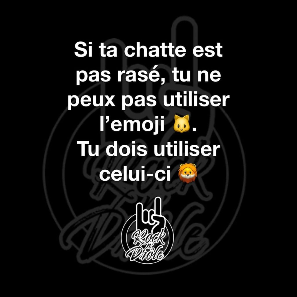 Si ta chatte est pas rasé, tu ne peux pas utiliser l'emoji du chat
Tu dois utiliser celui du lion