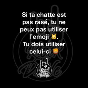 Si ta chatte est pas rasé, tu ne peux pas utiliser l'emoji du chat Tu dois utiliser celui du lion