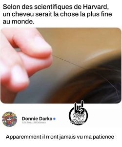 Selon des scientifiques de Harvard, un cheveu serait la chose la plus fine au monde. Apparemment il n'ont jamais vu ma patience