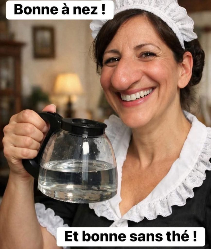 Bonne à nez et bonne sans thé. Une bonne avec un gros nez tiens une carafe d'eau
