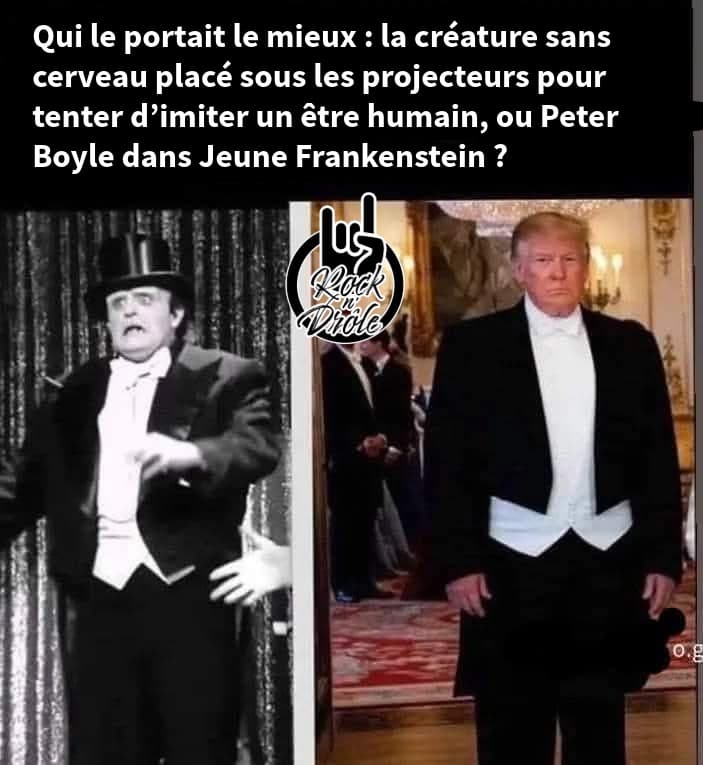 Trump dressed as a penguin like young Frankenstein