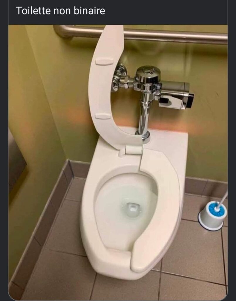 Toilette non binaire