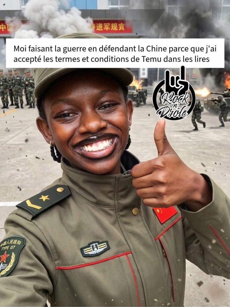 Quand tu dois t'enrôler avec l'armée chinoise car tu n'avais pas bien lu lees termes et conditions de Temu