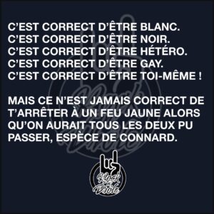 C’EST CORRECT D’ÊTRE BLANC.C’EST CORRECT D’ÊTRE NOIR.C’EST CORRECT D’ÊTRE HÉTÉRO.C’EST CORRECT D’ÊTRE GAY.C’EST CORRECT D’ÊTRE TOI-MÊME !MAIS CE N’EST JAMAIS CORRECT DE T’ARRÊTER À UN FEU JAUNE ALORS QU’ON AURAIT TOUS LES DEUX PU PASSER, ESPÈCE DE CONNARD.