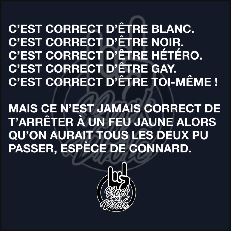 C’EST CORRECT D’ÊTRE BLANC.C’EST CORRECT D’ÊTRE NOIR.C’EST CORRECT D’ÊTRE HÉTÉRO.C’EST CORRECT D’ÊTRE GAY.C’EST CORRECT D’ÊTRE TOI-MÊME !MAIS CE N’EST JAMAIS CORRECT DE T’ARRÊTER À UN FEU JAUNE ALORS QU’ON AURAIT TOUS LES DEUX PU PASSER, ESPÈCE DE CONNARD.