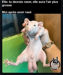 Elle: tu devrais raser, elle aura l’air plus grosseMoi après avoir rasé