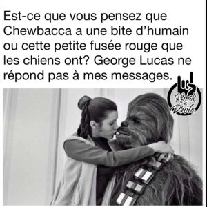 Est-ce que vous pensez que Chewbacca a une bite d’humain ou cette petite fusée rouge que les chiens ont? George Lucas ne répond pas à mes messages.