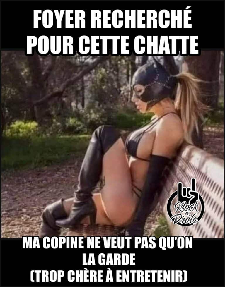 Femme portant un bikini et un masque de chat en cuir: FOYER RECHERCHÉ POUR CETTE CHATTE Ma copine ne veut pas qu’on la garde(Trop chère à entretenir)