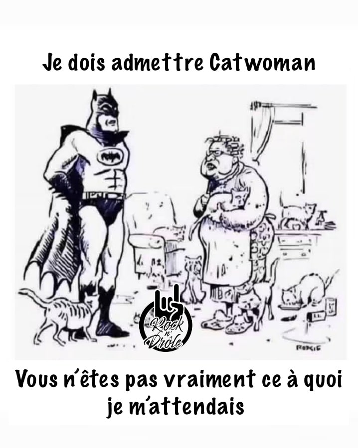 Je dois admettre Catwoman Vous n’êtes pas vraiment ce à quoi je m’attendais