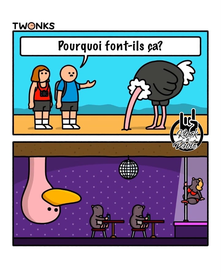 Pourquoi les autruches se mettent la tête dans le sable? En regardant, il y a un club de danseuses erotique sous sol