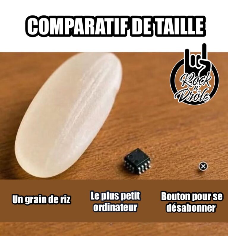 comparatif de taille Un grain de riz Le plus petit ordinateur Bouton pour se désabonner