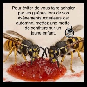 Pour éviter de vous faire achaler par les guêpes lors de vos événements extérieurs cet automne, mettez une motte de confiture sur un jeune enfant.