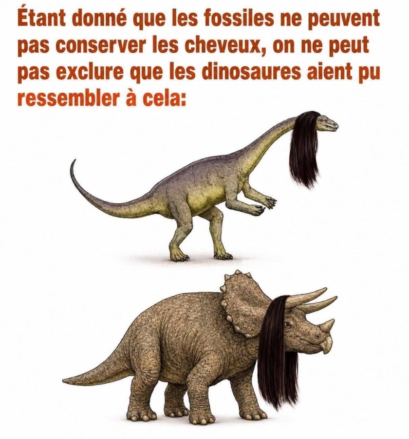 Étant donné que les fossiles ne peuvent pas conserver les cheveux, on ne peut pas exclure que les dinosaures aient pu ressembler à cela