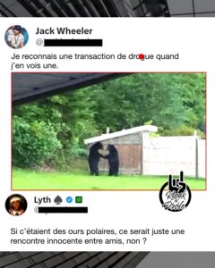 Je reconnais une transaction de drogue quand j’en vois une. Si c’étaient des ours polaires, ce serait juste une rencontre innocente entre amis, non ?