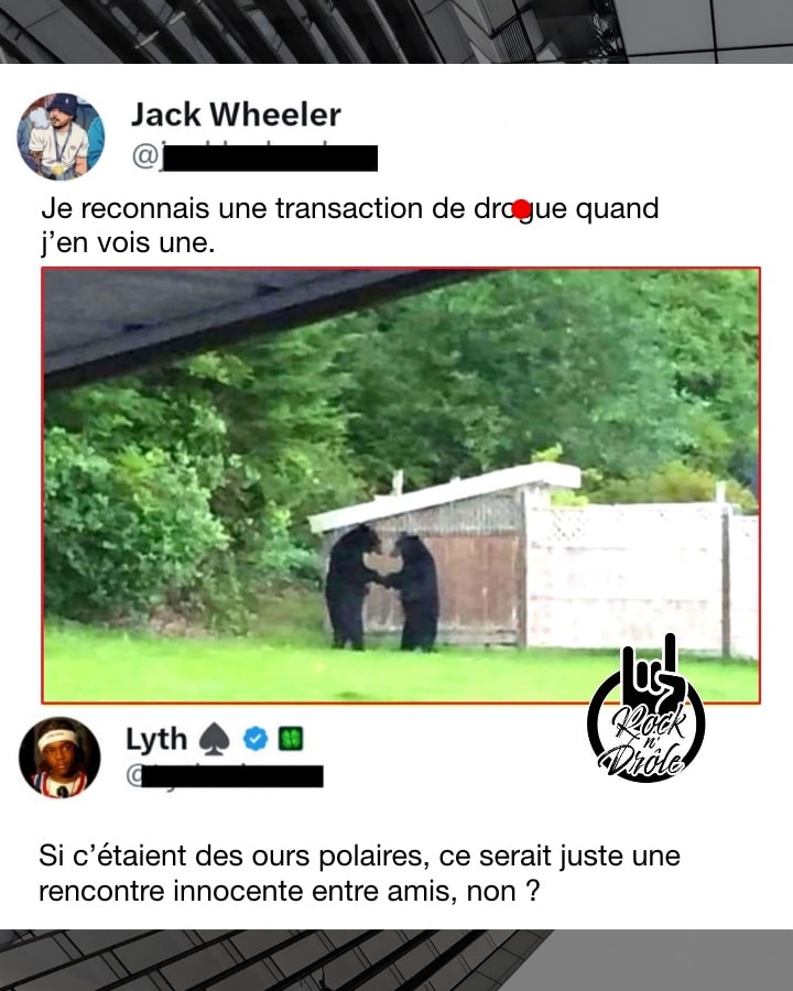 Je reconnais une transaction de drogue quand j’en vois une. Si c’étaient des ours polaires, ce serait juste une rencontre innocente entre amis, non ?