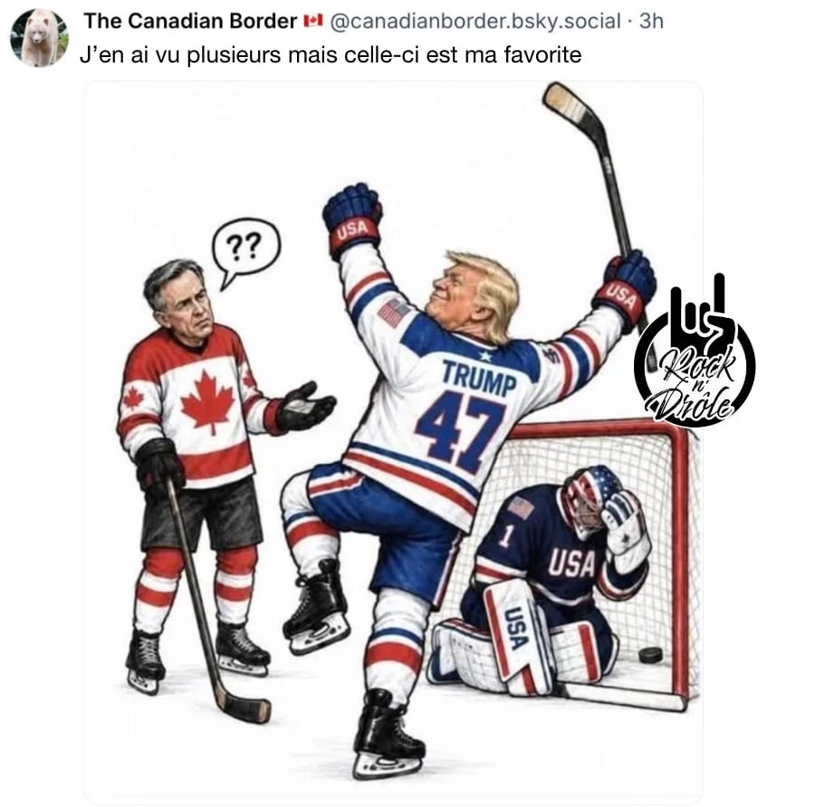 Donald Trump qui marque dans son propre but et célèbre devant un Mark Carney qui se demande ce qui se passe et un gardiens de but américain qui a honte J’en ai vu plusieurs mais celle-ci est ma favorite