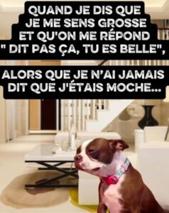 Quand je dis que je me sens grosse et qu’on me répond « dis pas ça, tu es belle » J’ai jamais dit que j’étais moche!!