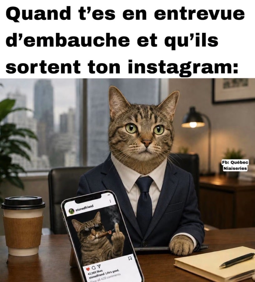 Quand t'es en entrevue d'embauche et qu'ils sortent ton instagram: Un chat portant un costards fait un doigts d’honneur sur son fil Instagram
