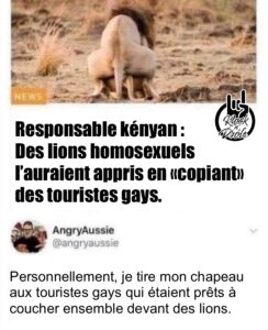 Responsable kényan : Des lions homosexuels l’auraient appris en «copiant» des touristes gays. Personnellement, je tire mon chapeau aux touristes gays qui étaient prêts à coucher ensemble devant des lions.