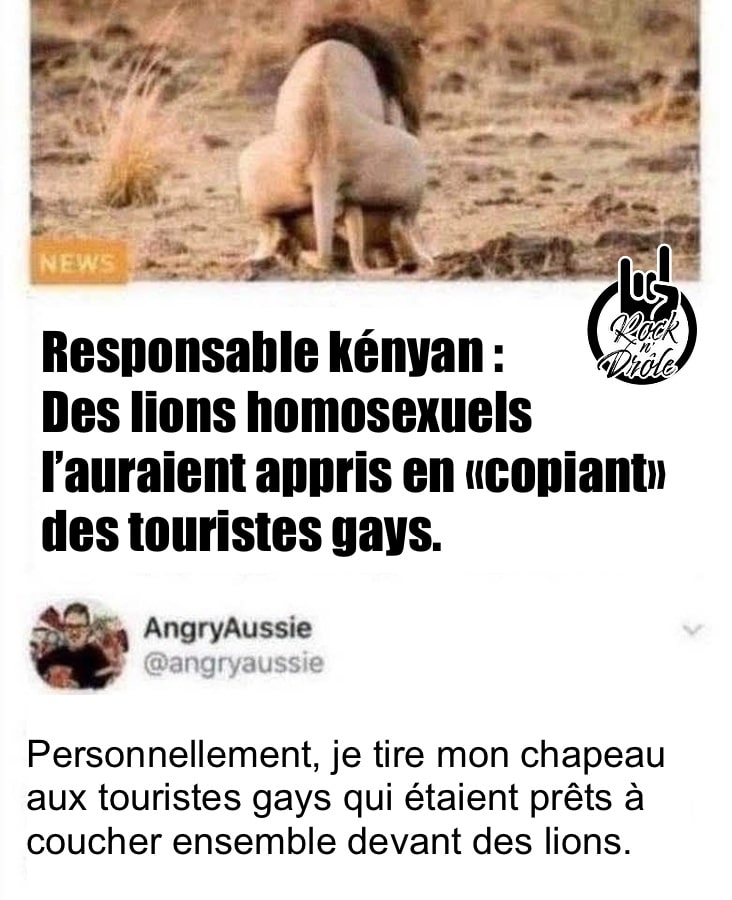 Responsable kényan : Des lions homosexuels l’auraient appris en «copiant» des touristes gays. Personnellement, je tire mon chapeau aux touristes gays qui étaient prêts à coucher ensemble devant des lions.