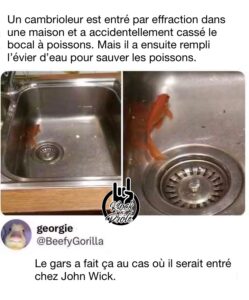 Un cambrioleur est entré par effraction dans une maison et a accidentellement cassé le bocal à poissons. Mais il a ensuite rempli l’évier d’eau pour sauver les poissons. Le gars a fait ça au cas où il serait entré chez John Wick.