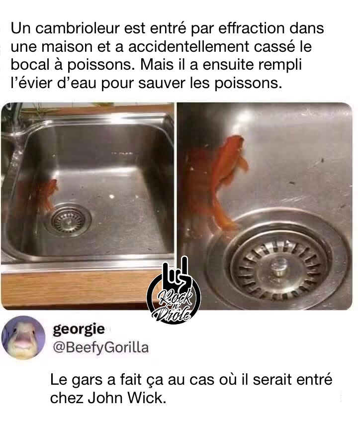 Un cambrioleur est entré par effraction dans une maison et a accidentellement cassé le bocal à poissons. Mais il a ensuite rempli l’évier d’eau pour sauver les poissons. Le gars a fait ça au cas où il serait entré chez John Wick.